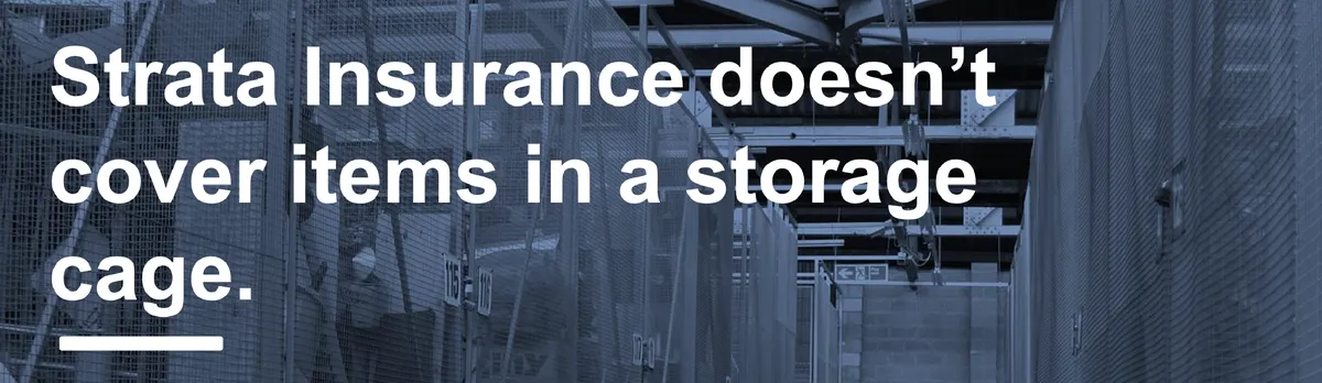 Strata Insurance doesn’t cover items in a storage cage