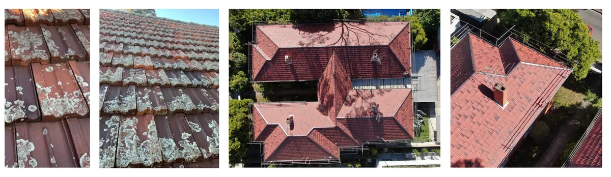 Roofing Repair and maintenance